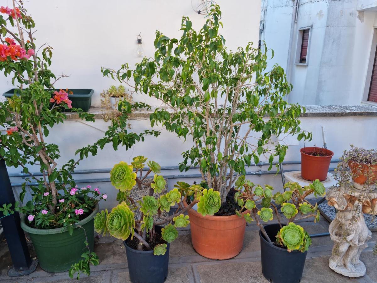 Green Palace Brindisi Kültér fotó